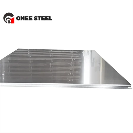 Stainless Steel Plate26